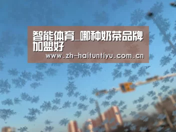 海豚体育