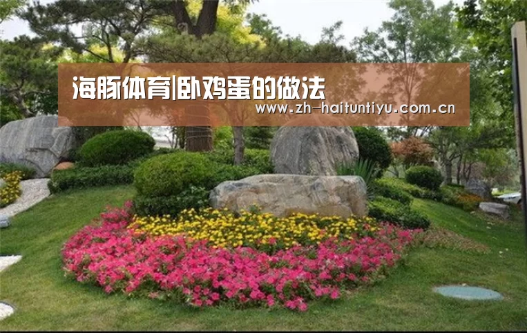 海豚体育
